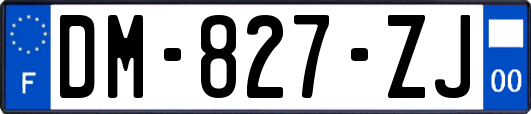 DM-827-ZJ