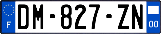 DM-827-ZN