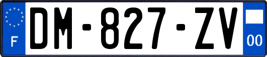 DM-827-ZV