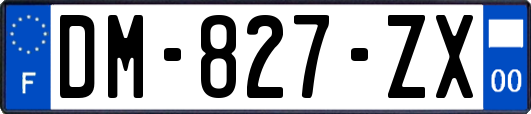 DM-827-ZX