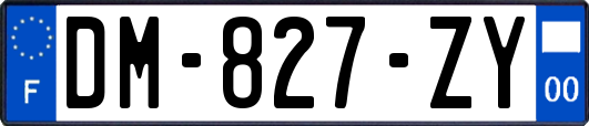 DM-827-ZY