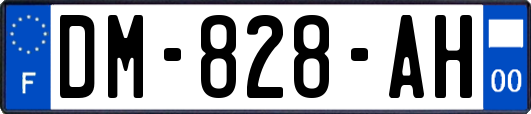 DM-828-AH