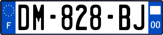 DM-828-BJ