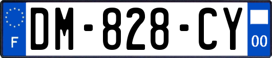 DM-828-CY