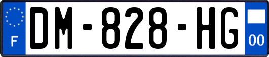 DM-828-HG