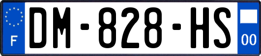 DM-828-HS