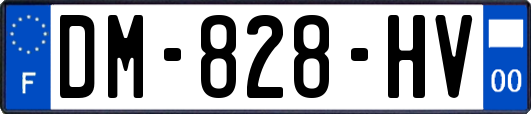DM-828-HV