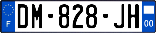 DM-828-JH