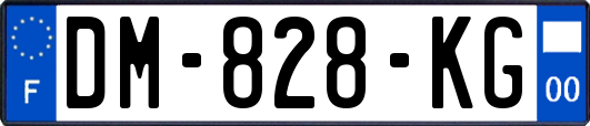 DM-828-KG