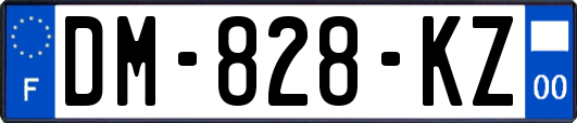 DM-828-KZ