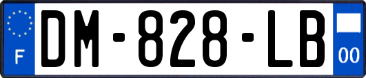 DM-828-LB