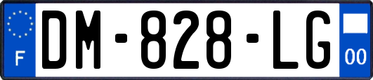 DM-828-LG