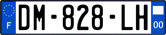DM-828-LH