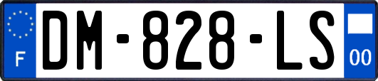DM-828-LS
