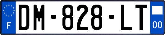 DM-828-LT