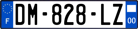 DM-828-LZ