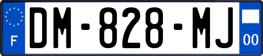 DM-828-MJ