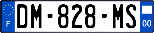 DM-828-MS
