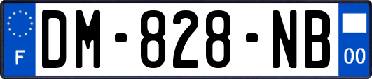 DM-828-NB