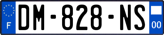 DM-828-NS