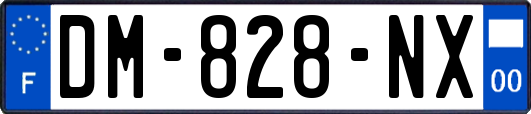 DM-828-NX