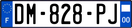 DM-828-PJ