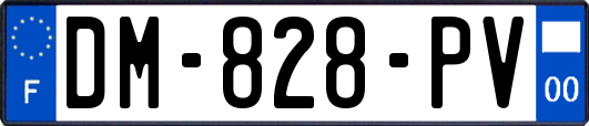 DM-828-PV