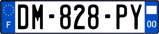 DM-828-PY