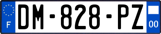DM-828-PZ