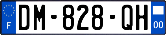 DM-828-QH