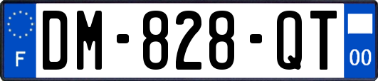 DM-828-QT