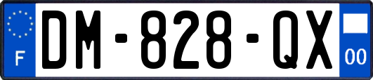 DM-828-QX