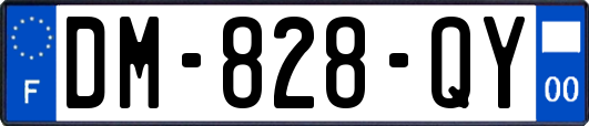 DM-828-QY