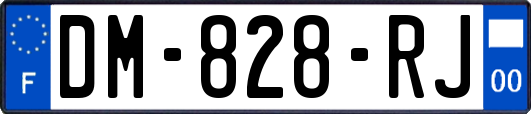 DM-828-RJ