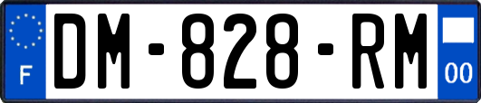DM-828-RM