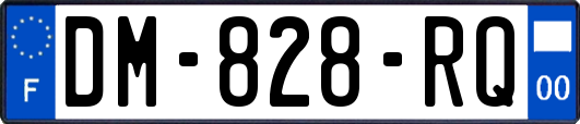 DM-828-RQ