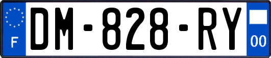 DM-828-RY