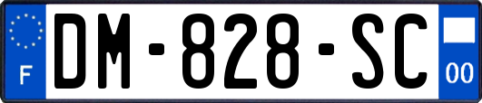 DM-828-SC