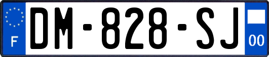 DM-828-SJ