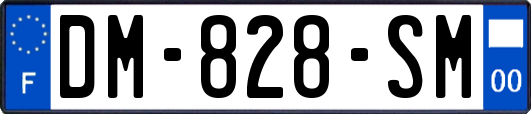 DM-828-SM