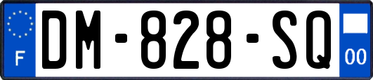 DM-828-SQ
