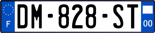 DM-828-ST