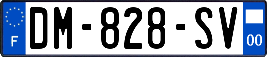 DM-828-SV