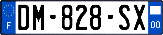 DM-828-SX