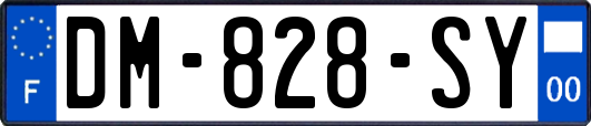 DM-828-SY