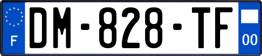 DM-828-TF