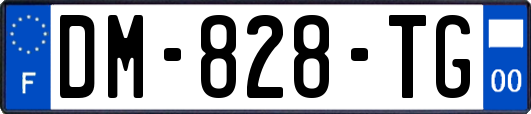 DM-828-TG