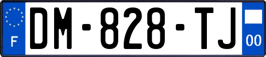 DM-828-TJ