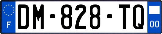 DM-828-TQ