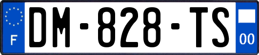 DM-828-TS